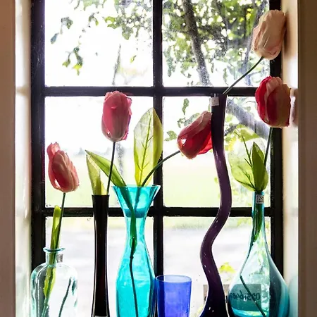 Vakantiehuis Polderzicht By Interhome