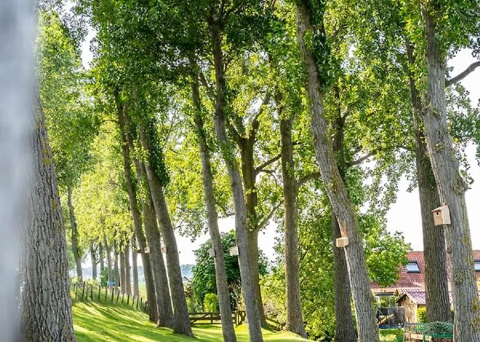 Polderzicht By Interhome Tatil Evi Zuid-Beijerland