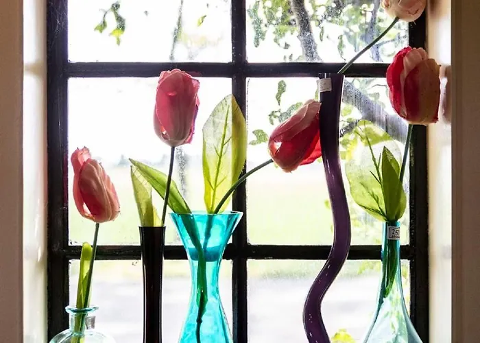 Vakantiehuis Polderzicht By Interhome